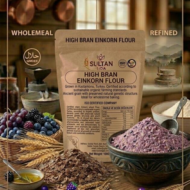 whatsapp image 2026 03 20 at 1.28.03 am