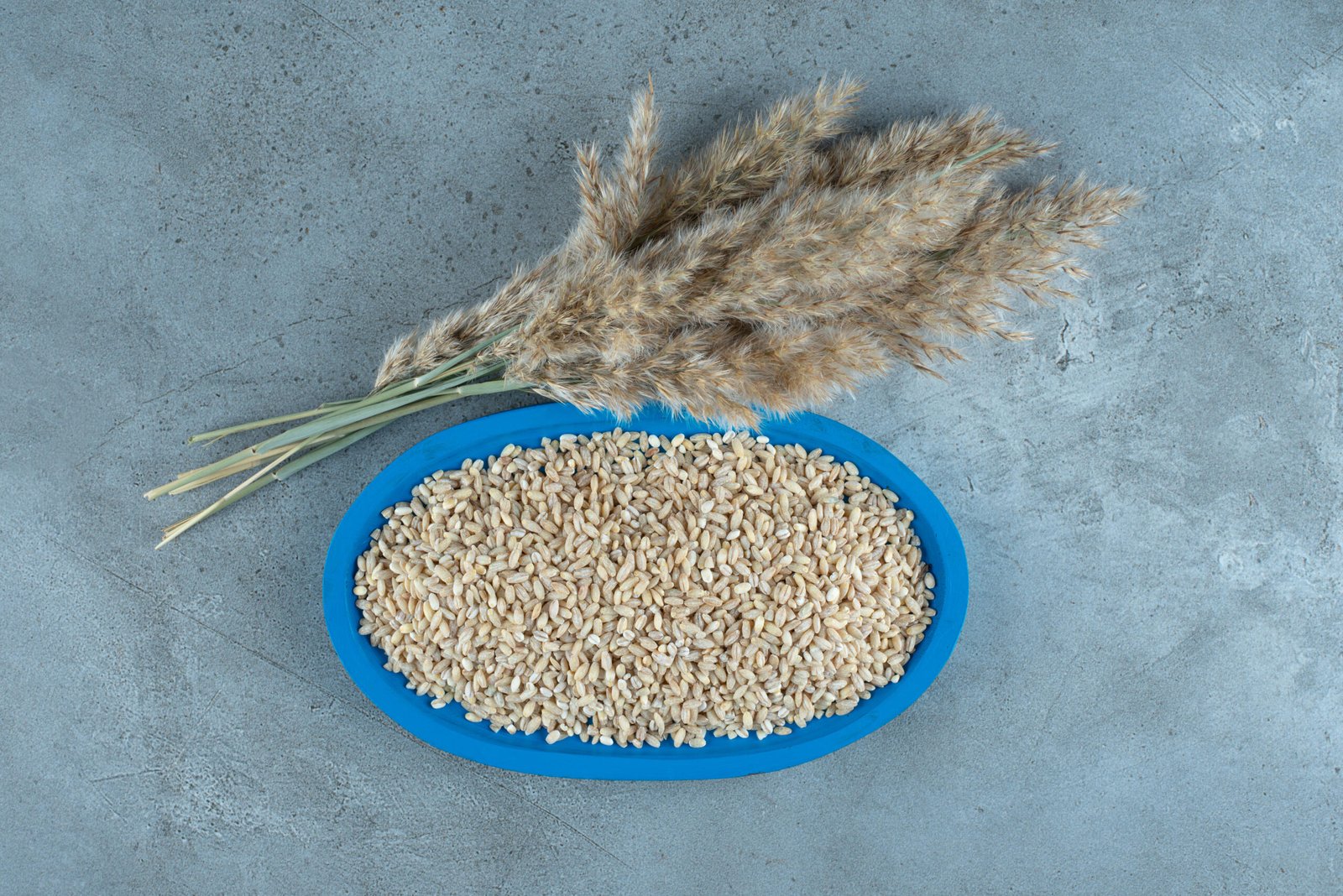 sunflower seeds in a blue platter with plant aside
