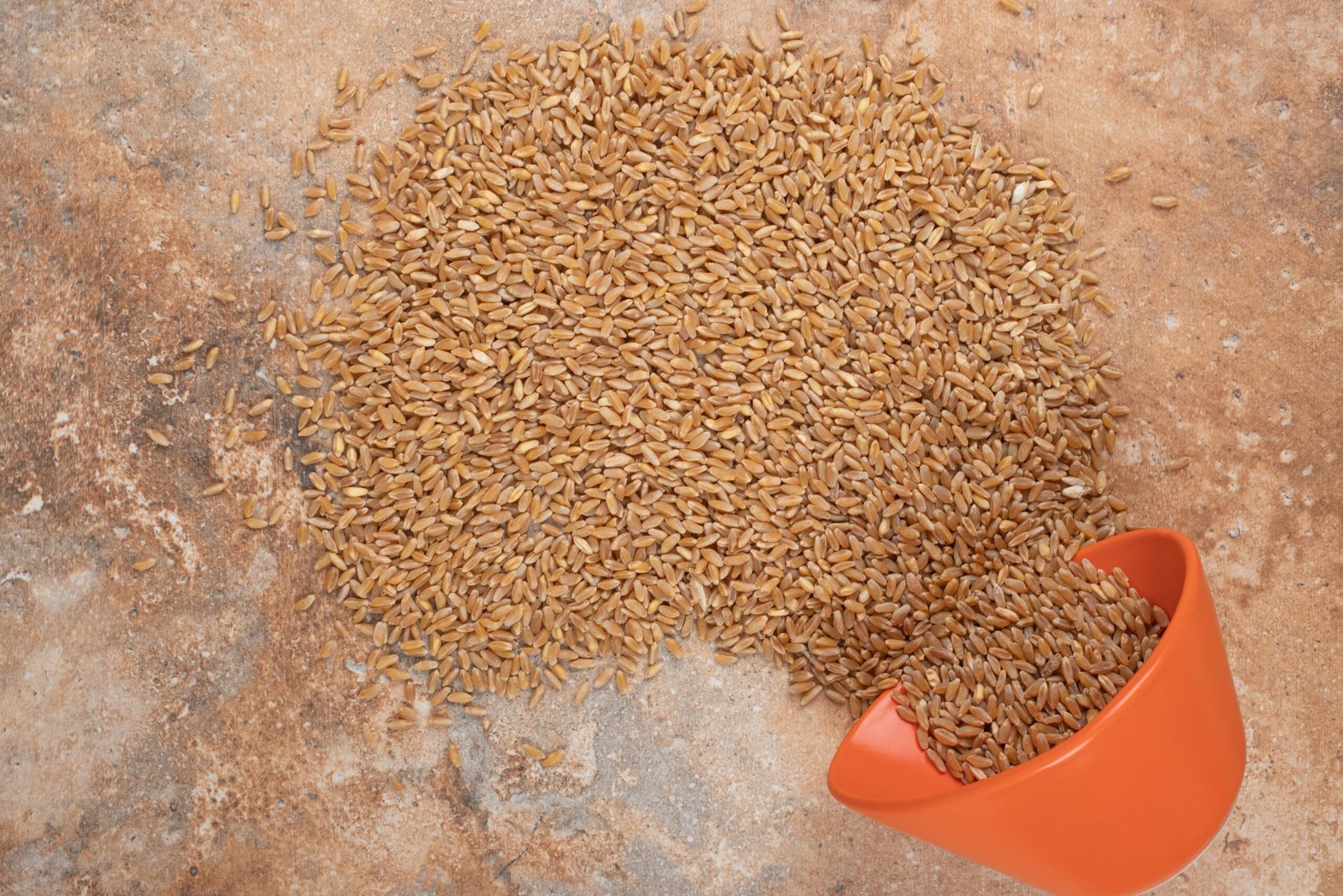 bunch barley with red bowl orange space scaled.jpg